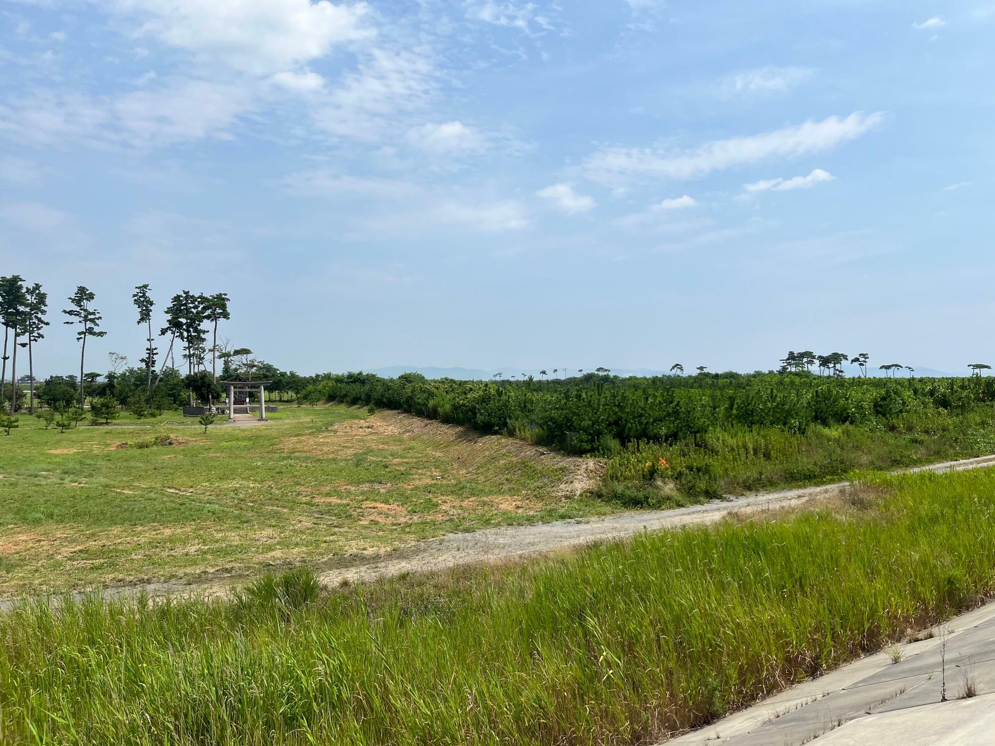 宮城県 東浮足